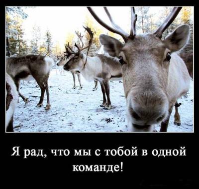 Прикрепленное изображение: 555.jpg